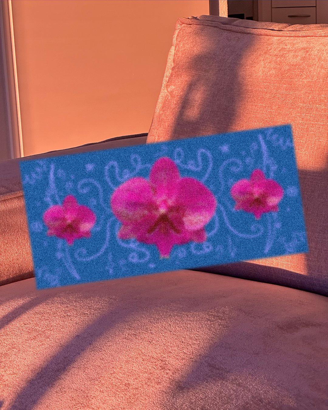 [bookmark] wild orchids